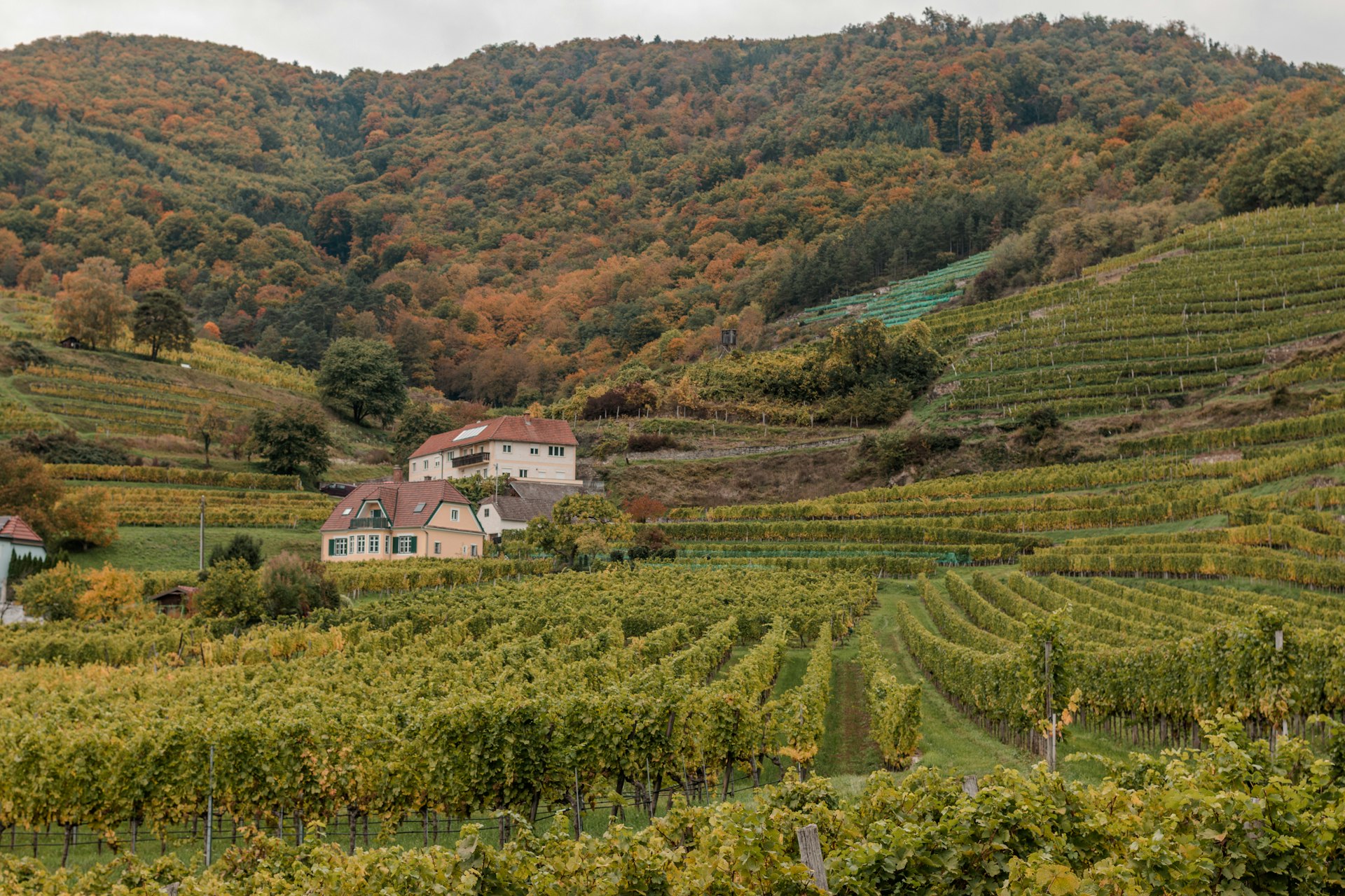 Property in Styria wine region
